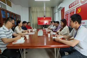 【党建双创·辐射引领】tyc41183太阳成艺术史论系教工党支部向校内外党支部分享全国样板支部培育创建工作经验